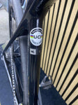 GIANT TCR