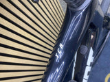 GIANT TCR